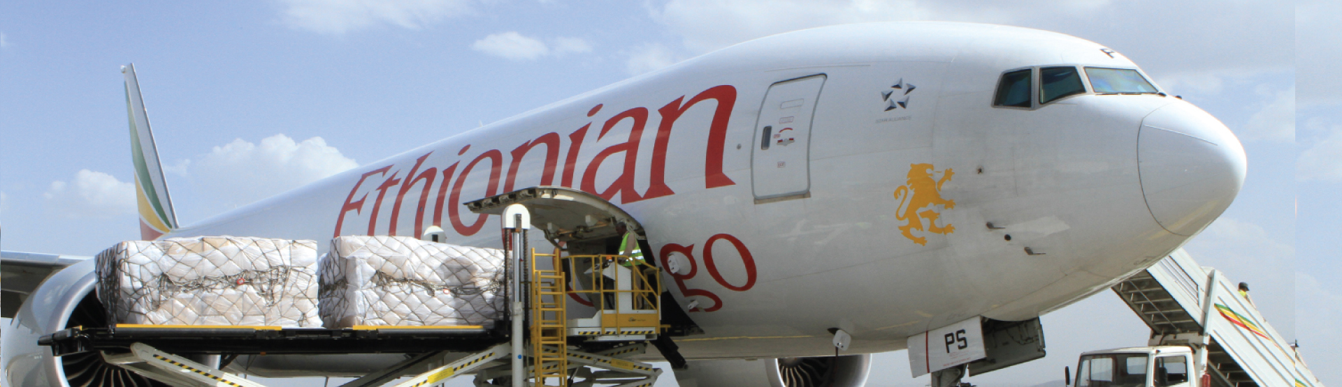 Ethiopian Cargo Charter and Lease Services