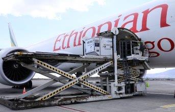 Ethiopian Finalizes Distribution of Jack Ma’s 2nd Round Donation to Africa